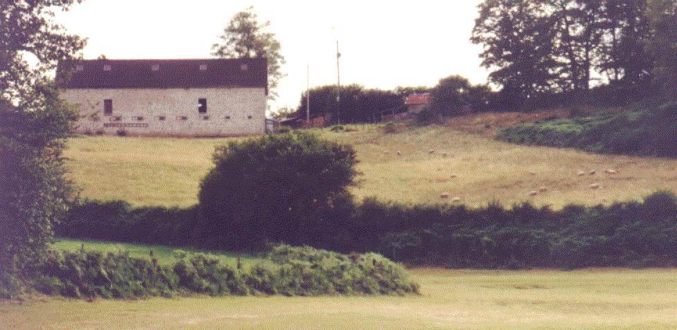 photo (c) Erik Laforce